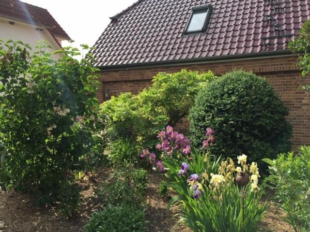 Villa Irene Am Inselsee Muhl Rosin 外观 照片